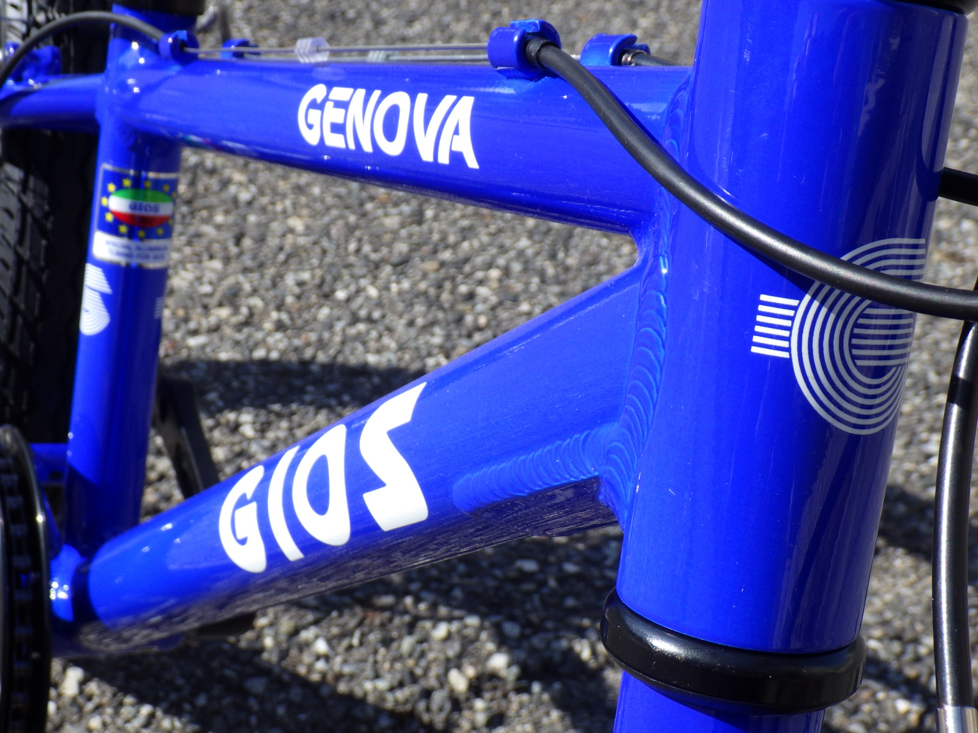 GIOS GENOVA ブルーが入荷しました！ :: KuwaharaCycle